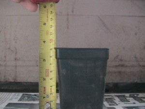 Small Black Pot Measurements