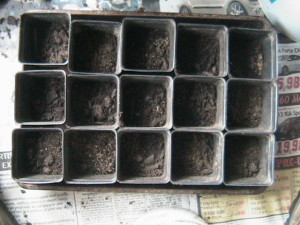 Small Black Plastic Pots