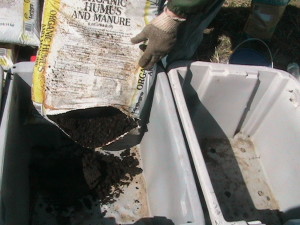 Adding Manure to Totes