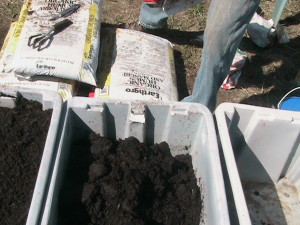 Clumps of Dirt in Totes