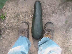 Five Pound Zucchini #2