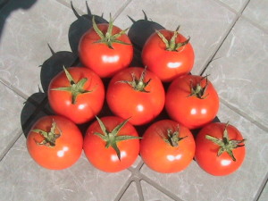 Cherry Tomatoes