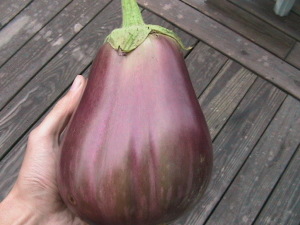Second Eggplant Harvest