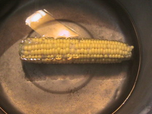 First Ear of Corn of the Season