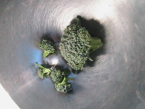 Broccoli Harvest #3