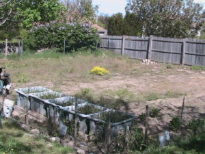 Before Tilling Garden