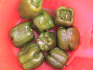 Eight Ripe Peppers