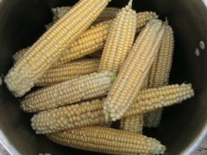 Corn Without Husk