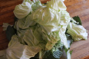 Cabbage Leaves Separated