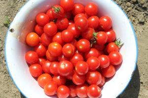 Cherry Tomatoes