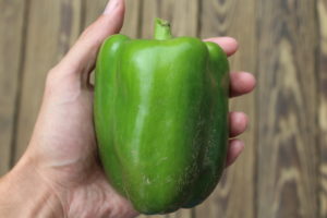 Green Pepper