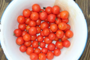 Cherry Tomatoes