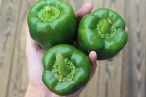 Three Peppers