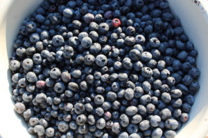Six Pounds of Blueberries