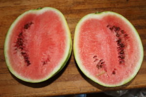 Watermelon Cut Open