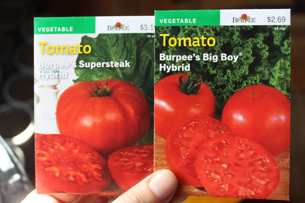 Tomato seed packets of supersteak hybrid and big boy hybrid.