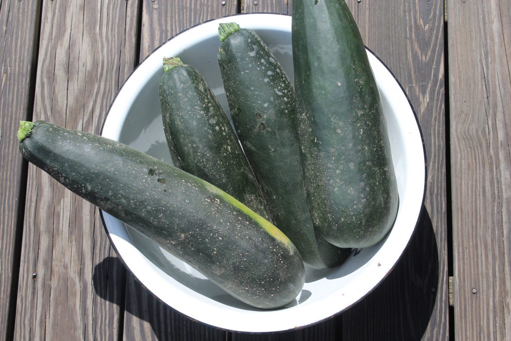 Here are the first of the zucchinis harvested weeks ago.
