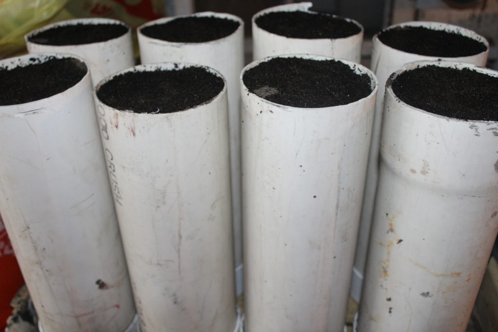 PVC pipe sections used for planting spinach seeds.