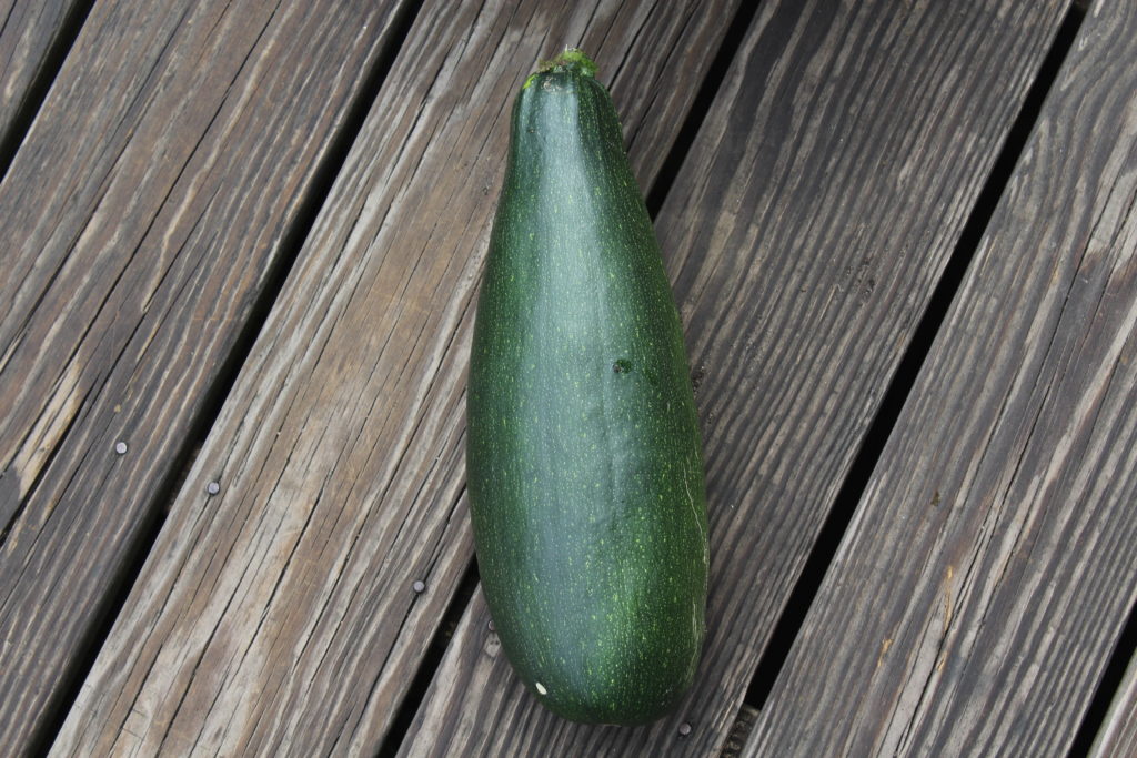The first zucchini of the season with hopefully a few more.