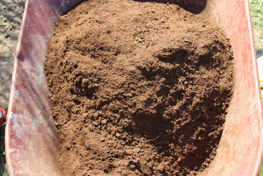 Peat Moss