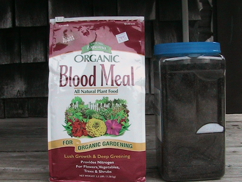 Blood Meal