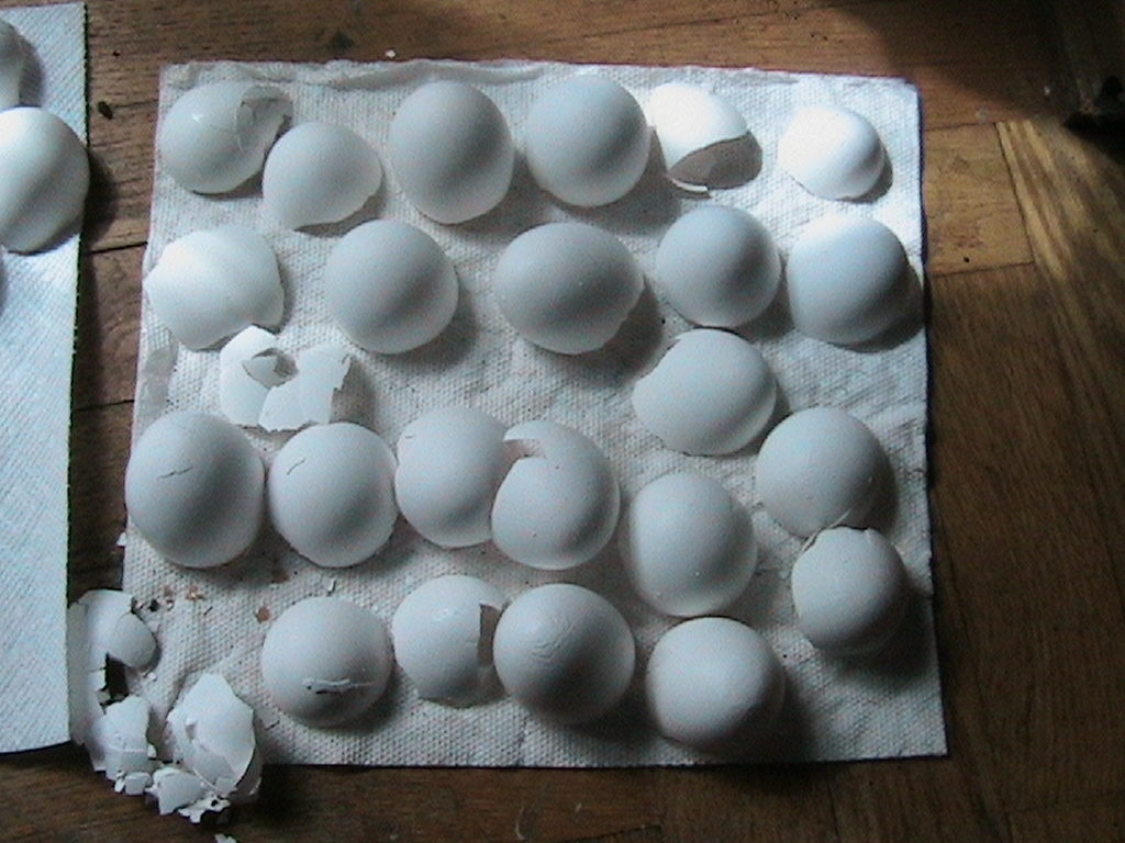 Drying Eggshells