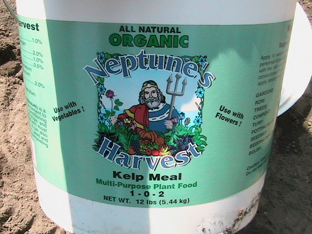 Kelp Meal