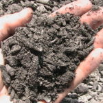 Wood Ash