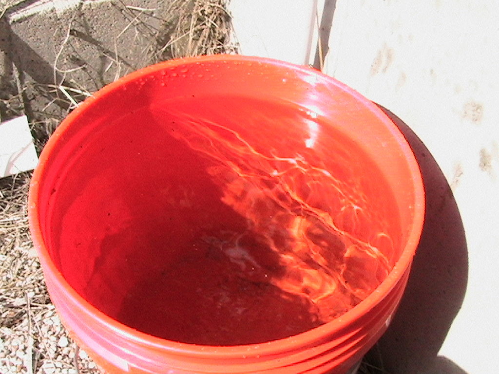 Bucket of Water