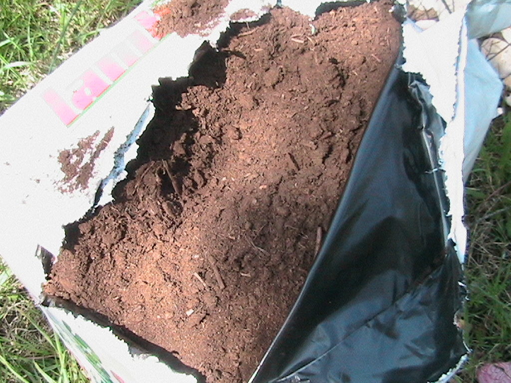 Peat Moss