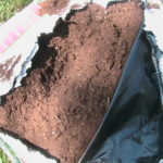 Peat Moss