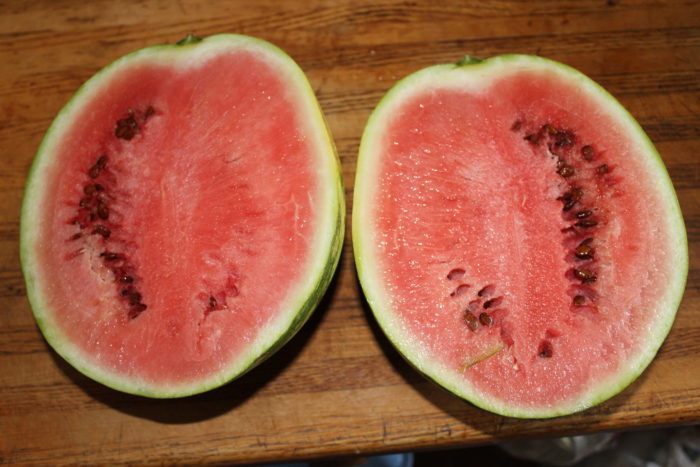 Melons and Pumpkins Ready for Harvesting - Eric's Organic Gardening Blog